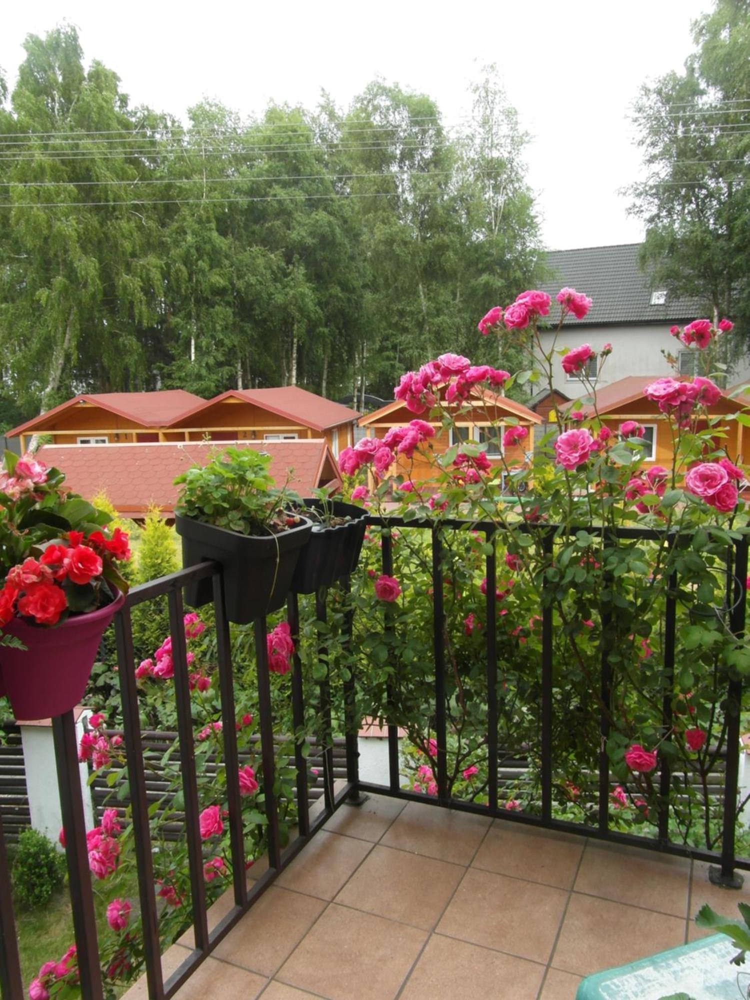 Villa Banita Ustka Extérieur photo